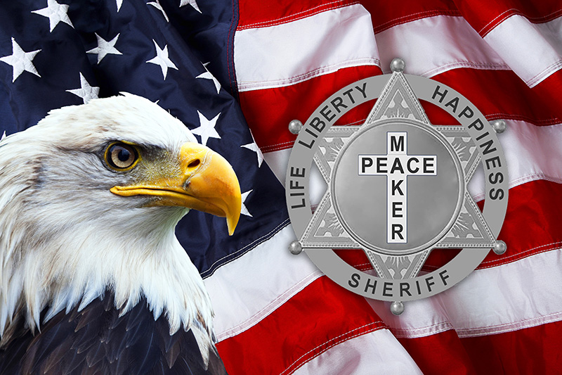American Eagle With Peace Maker Logo